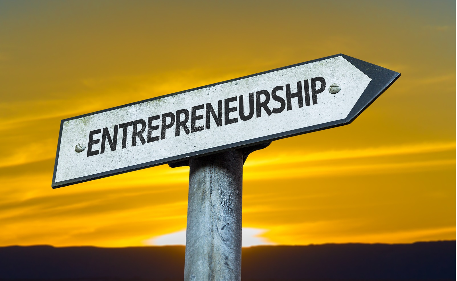 What is Entrepreneurship and how to excel at it